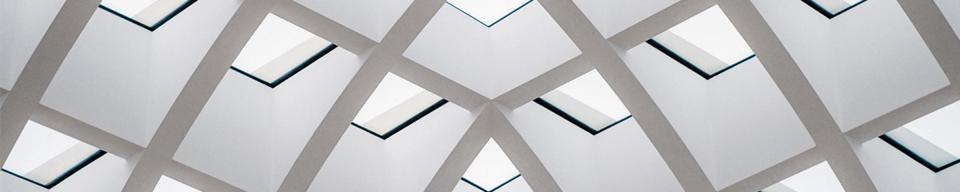 Grey and white ornate internal ceiling structure pattern